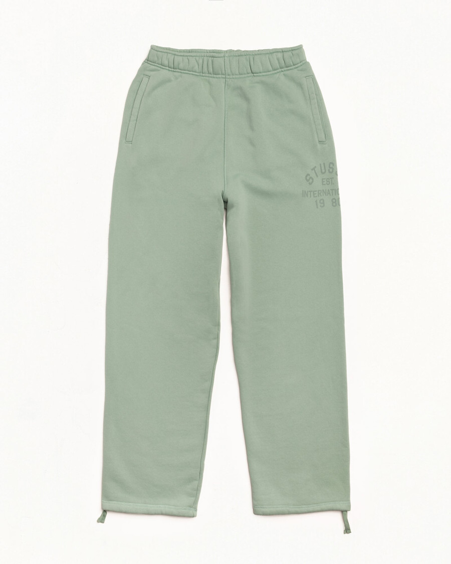 established fleece pant