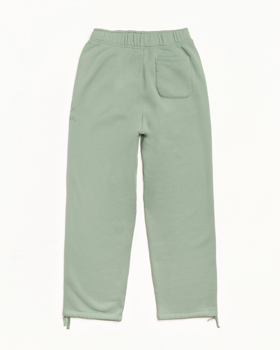 established fleece pant
